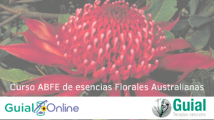 Esencias Florales Australianas (ABFE) Sistema Bush